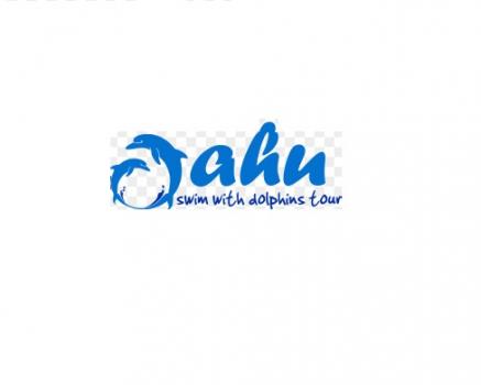 Oahu Swim with Dolphins Tour & Ticket logo